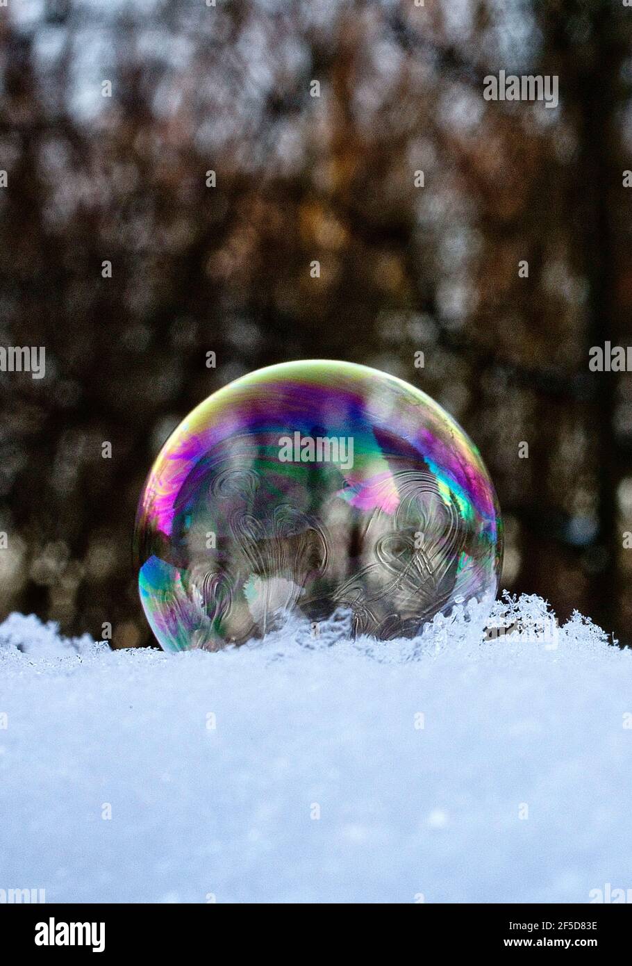 Congelamento delle bolle di sapone sulla neve, Germania Foto Stock
