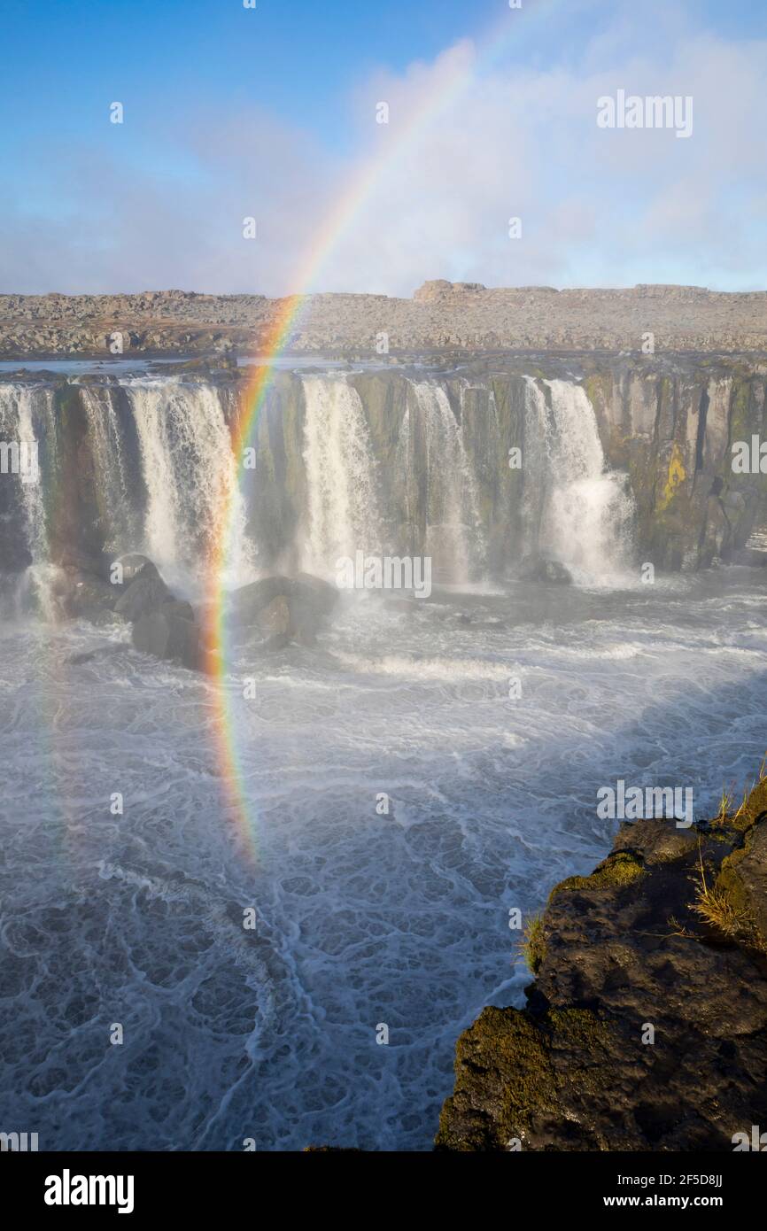 Cascata Selfoss, cascata del fiume Joekulsá á Fjoellum, spume che forma un arcobaleno, Islanda, Joekulsargljufur Nationalpark Foto Stock