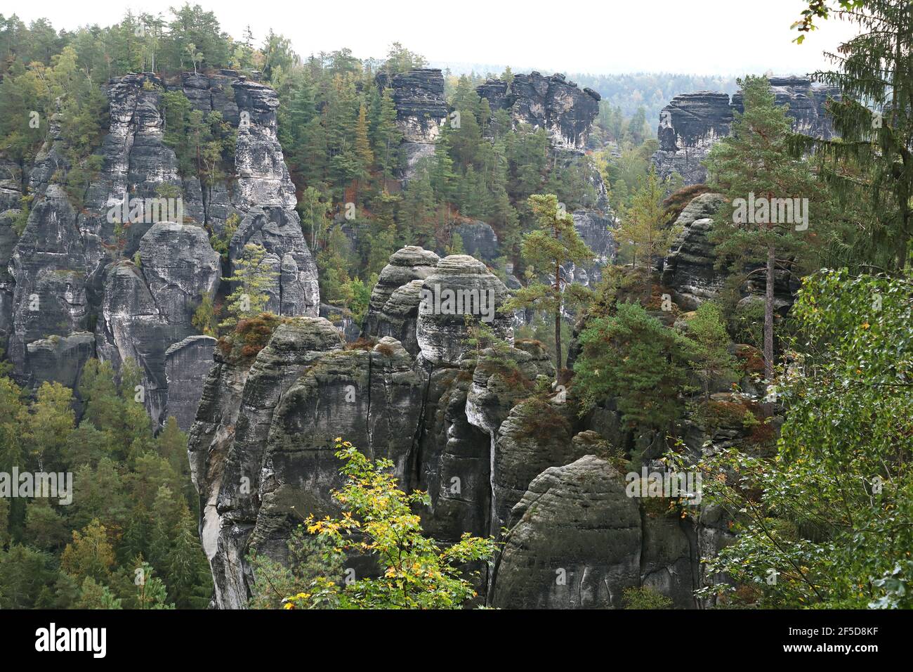 Rocce al Wehlgrund con ago di roccia, Bastei, Germania, Sassonia, Saxon Svizzera Parco Nazionale, Rathen Foto Stock