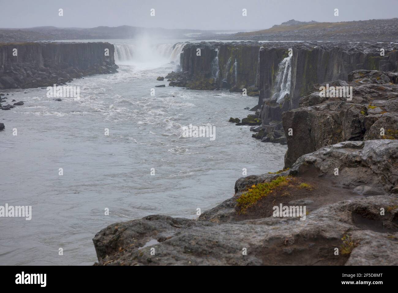 Cascata Selfoss, cascata del fiume Joekulsá á Fjoellum, Islanda, Joekulsargljufur Nationalpark Foto Stock