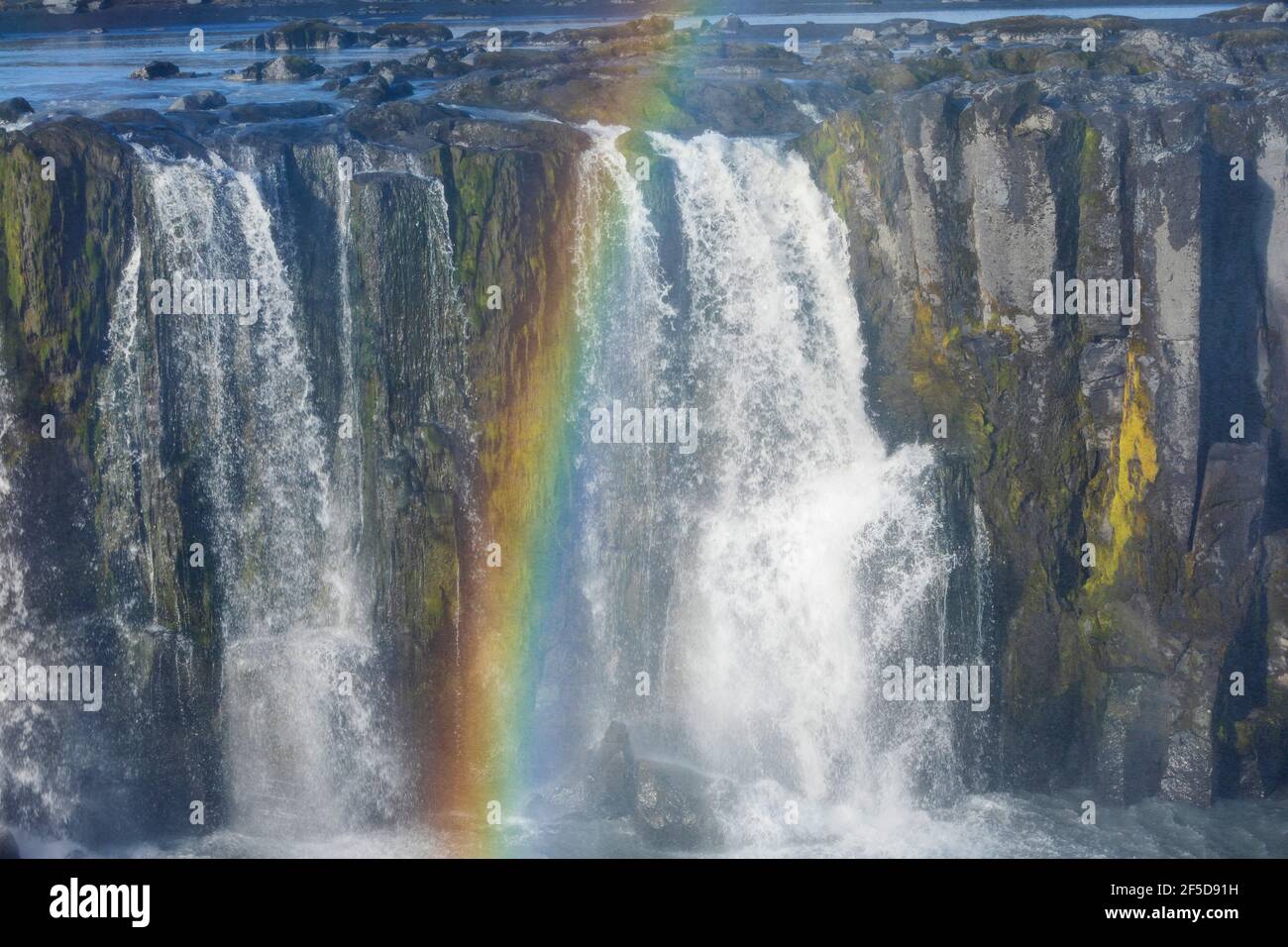 Cascata Selfoss, cascata del fiume Joekulsá á Fjoellum, spume che forma un arcobaleno, Islanda, Joekulsargljufur Nationalpark Foto Stock