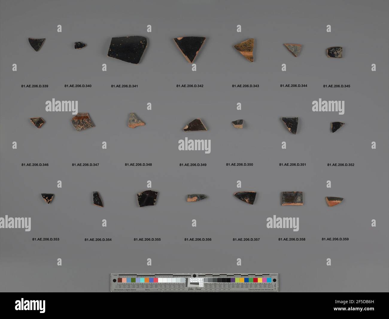 Attico Red-Figure Cup o grifo frammento. Sconosciuto Foto Stock