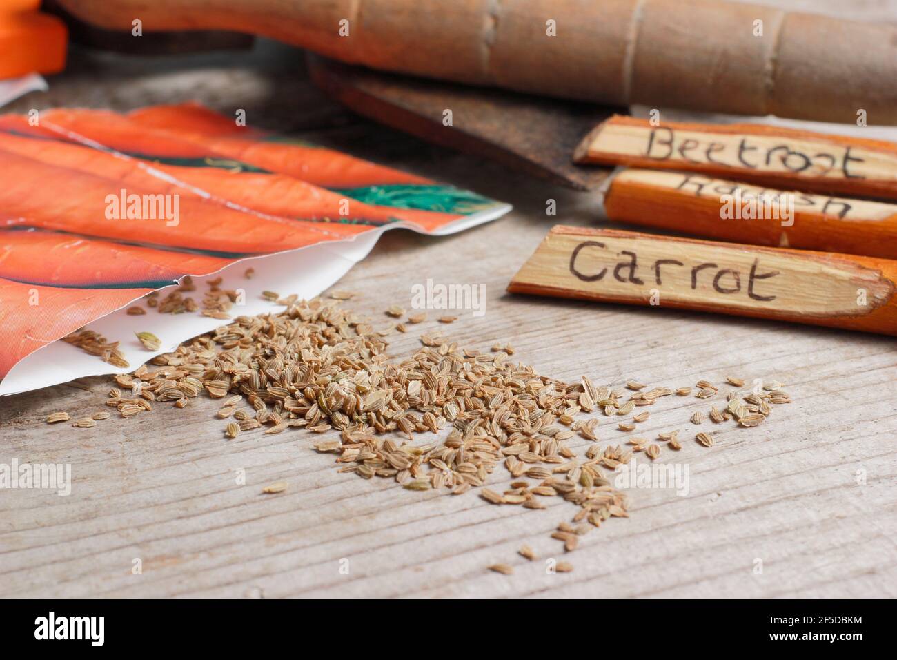 Carota del rubinetto. Semi di carota pronti per seminare. REGNO UNITO Foto Stock