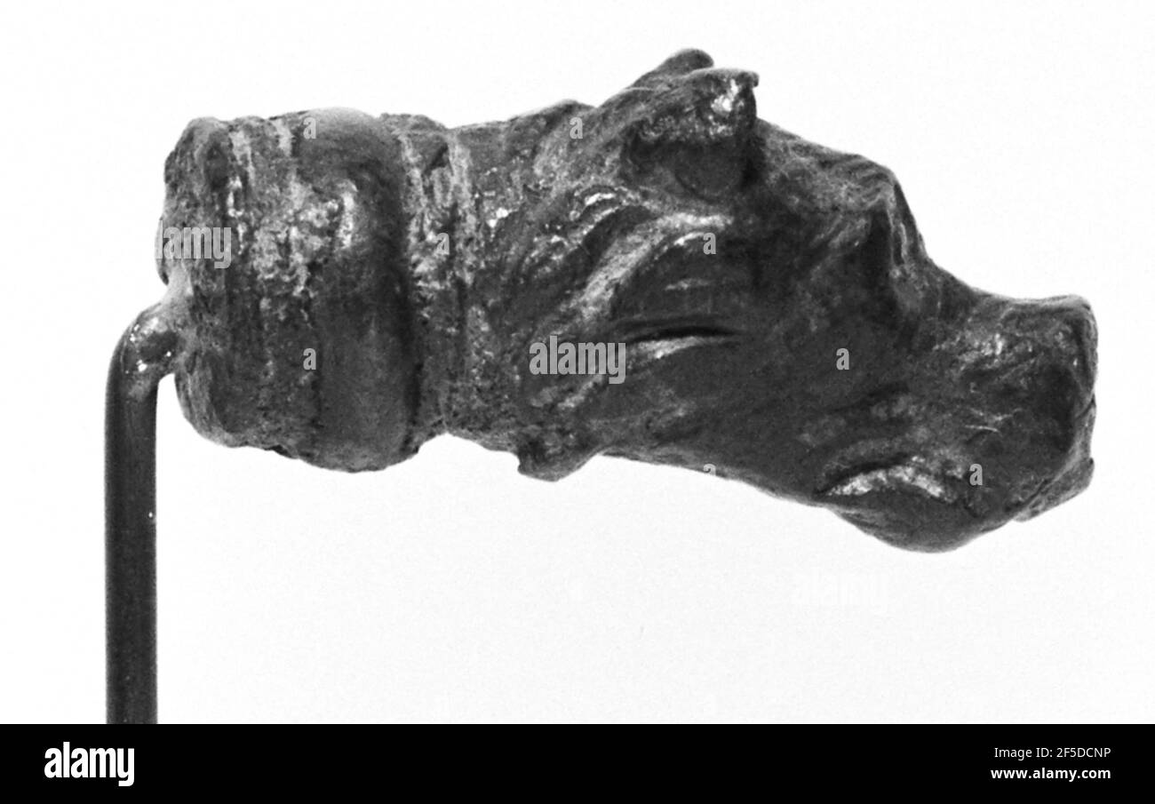 Testa di un cane. Sconosciuto Foto Stock