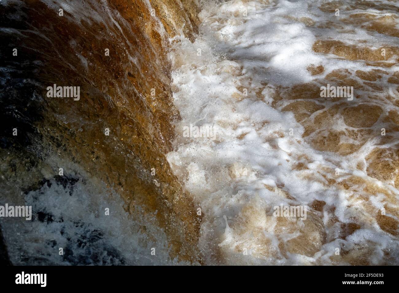 Cascata sul fiume Ribble dopo autunnal downpour, churning acqua, North Yorkshire, Regno Unito Foto Stock