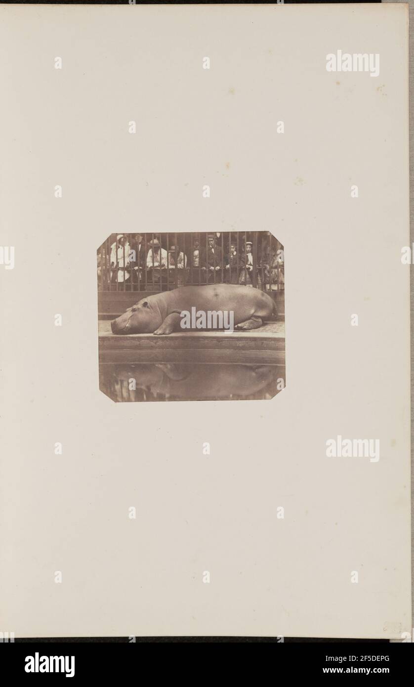 L'ippopotamo ai Giardini Zoologici, Parco del Reggente. Conte de Montizon (Spagnolo, 1822 - 1887) Foto Stock