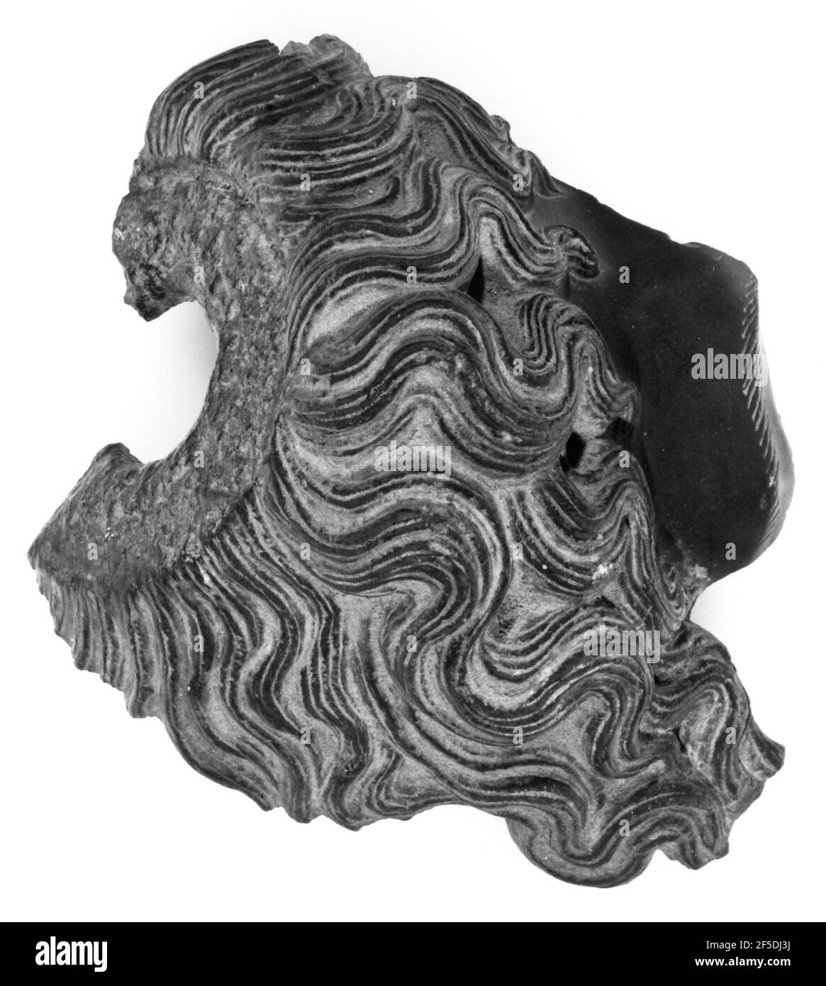 Capo frammentario di Serapis. Sconosciuto Foto Stock