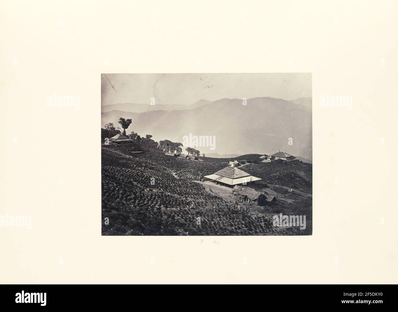 Piantagione sulla montagna. Produttore sconosciuto Foto Stock