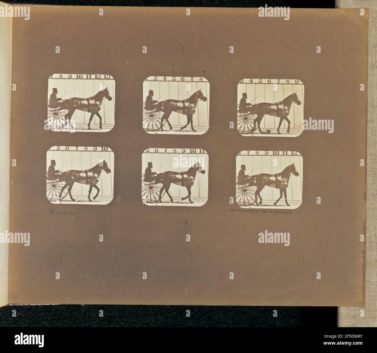 A piedi. Sei telai che raffigurano un subido trainato da cavalli, un leggero carrello monoposto con due ruote. Un uomo è seduto sul carro, tenendo le redini e una frusta. I fotogrammi sono numerati da uno a sei. (Recto, stampa) centro a sinistra, a matita, in mano dell'artista: 'Walking'; (verso, stampa) in alto a sinistra, a matita: '5 parzialmente ritagliato'; Foto Stock