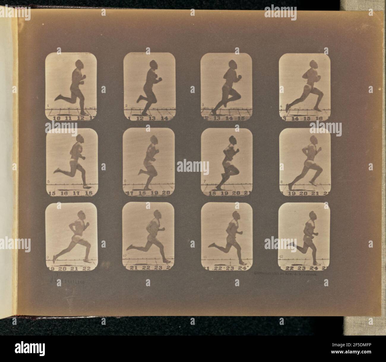 In esecuzione. Dodici cornici raffiguranti un uomo che corre. I fotogrammi sono numerati da uno a dodici. (Recto, stampa) in basso a sinistra, a matita, nella mano dell'artista: 'Running'; (verso, stampa) in alto a sinistra, a matita: '104'; Foto Stock