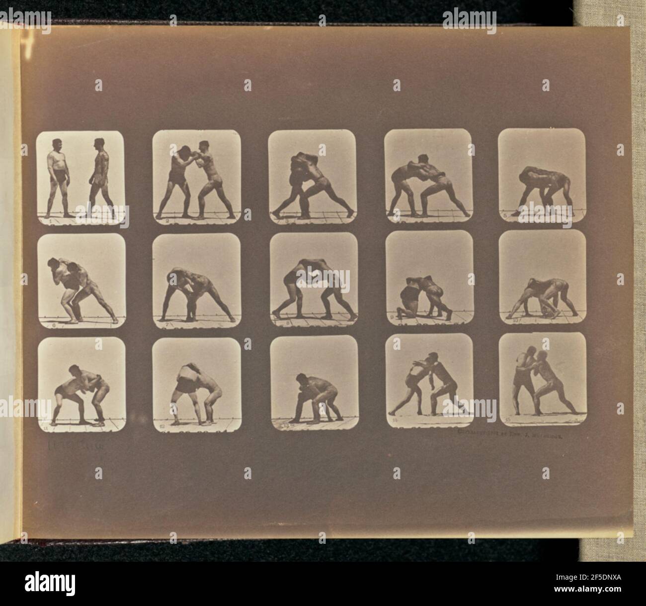 Wrestling. Quindici cornici raffiguranti due uomini che lottano l'uno contro l'altro. I fotogrammi sono numerati da uno a quindici. (Recto, stampa) in alto a sinistra, inscritto in negativo: '4 parzialmente ritagliato'; in basso a sinistra, a matita, in mano all'artista: 'Wrestling'; (verso, stampa) in alto a sinistra, a matita: '120'; Foto Stock