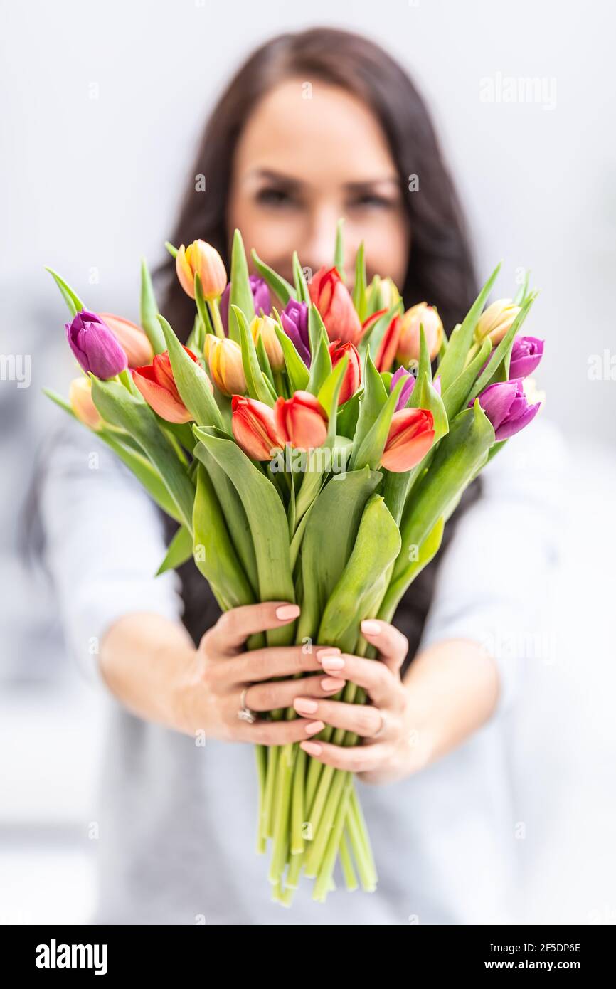 Felice donna dai capelli scuri che tiene davanti a lei un bel bouquet pieno di tulipani durante la giornata nazionale delle donne. Foto Stock