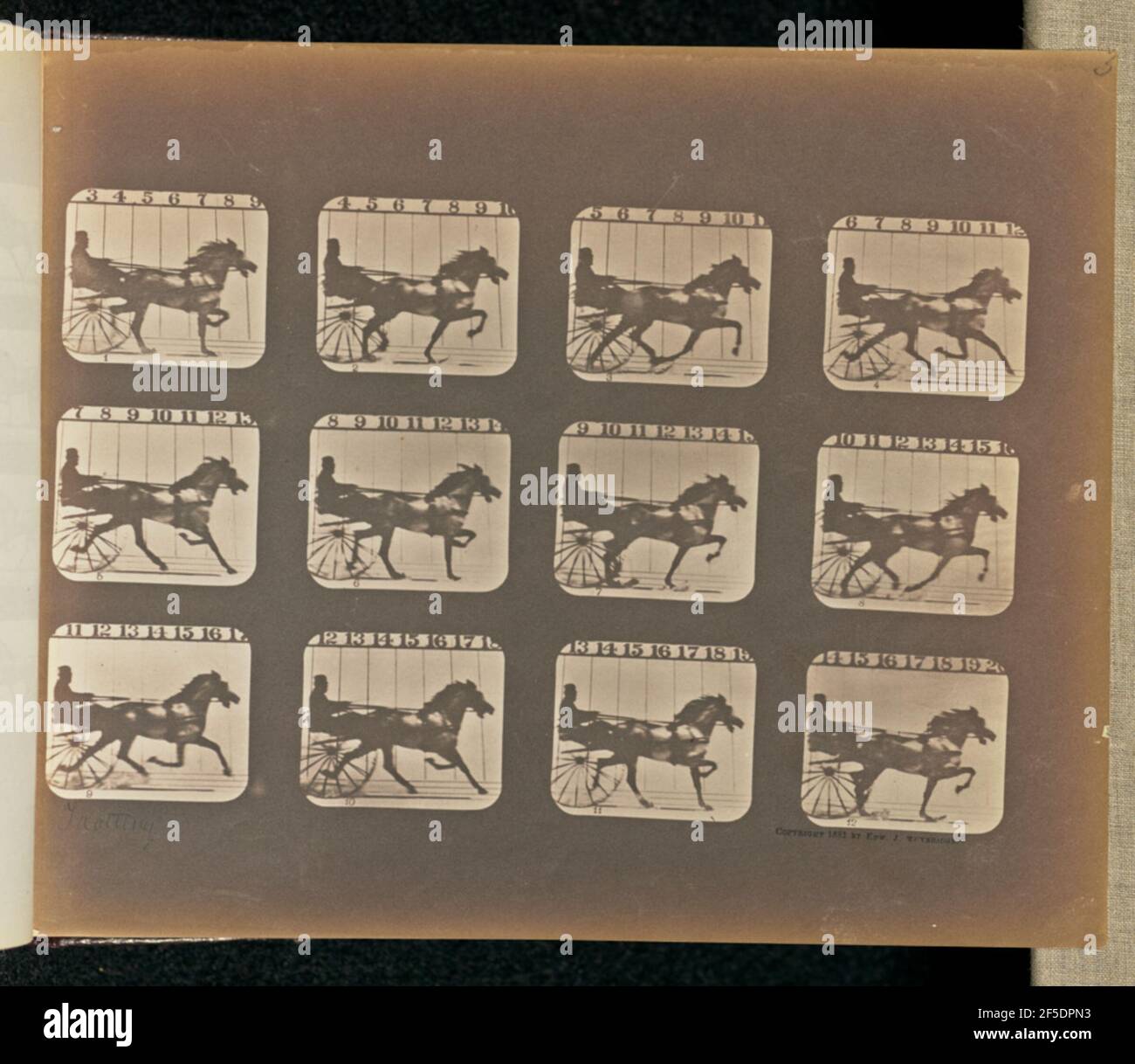 Trotto. Dodici cornici raffiguranti un suculo trainato da cavalli, un leggero carrello monoposto con due ruote. Un uomo è seduto sul carro, tenendo le redini. (Recto, stampa) in alto a destra, a matita: "3 parzialmente ritagliato"; in basso a sinistra, a matita, in mano all'artista: "Trotting"; (verso, stampa) in alto a sinistra, a matita: "41"; in basso a sinistra, a matita: "iscrizione parzialmente ritagliata"; Foto Stock