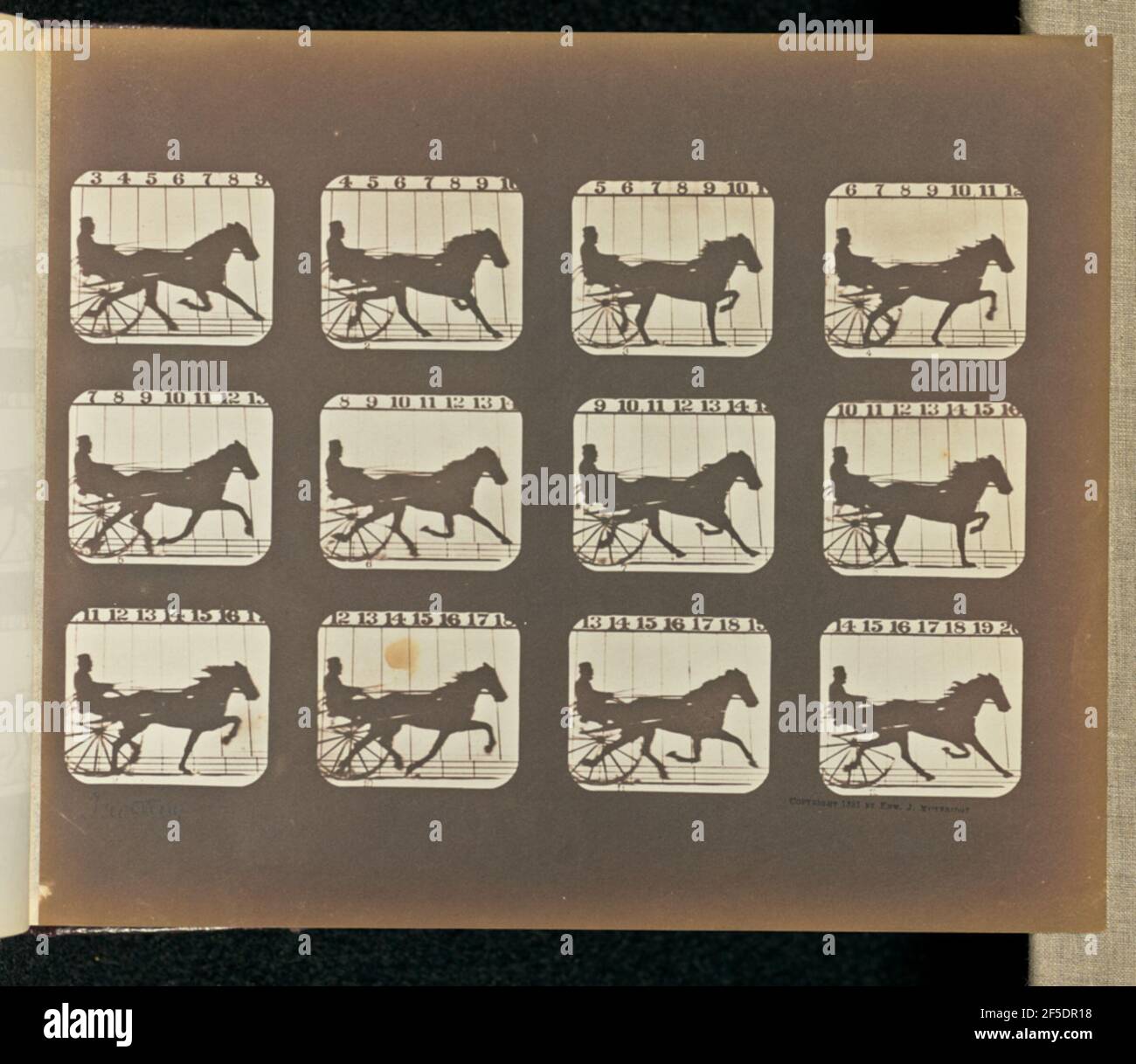 Trotto. Dodici cornici raffiguranti un suculo trainato da cavalli, un leggero carrello monoposto con due ruote. Un uomo è seduto sul carro, tenendo le redini. (Recto, stampa) in basso a sinistra, a matita, in mano all'artista: 'Trotting'; (verso, stampa) in alto a sinistra, a matita: '42 parzialmente ritagliato'; Foto Stock