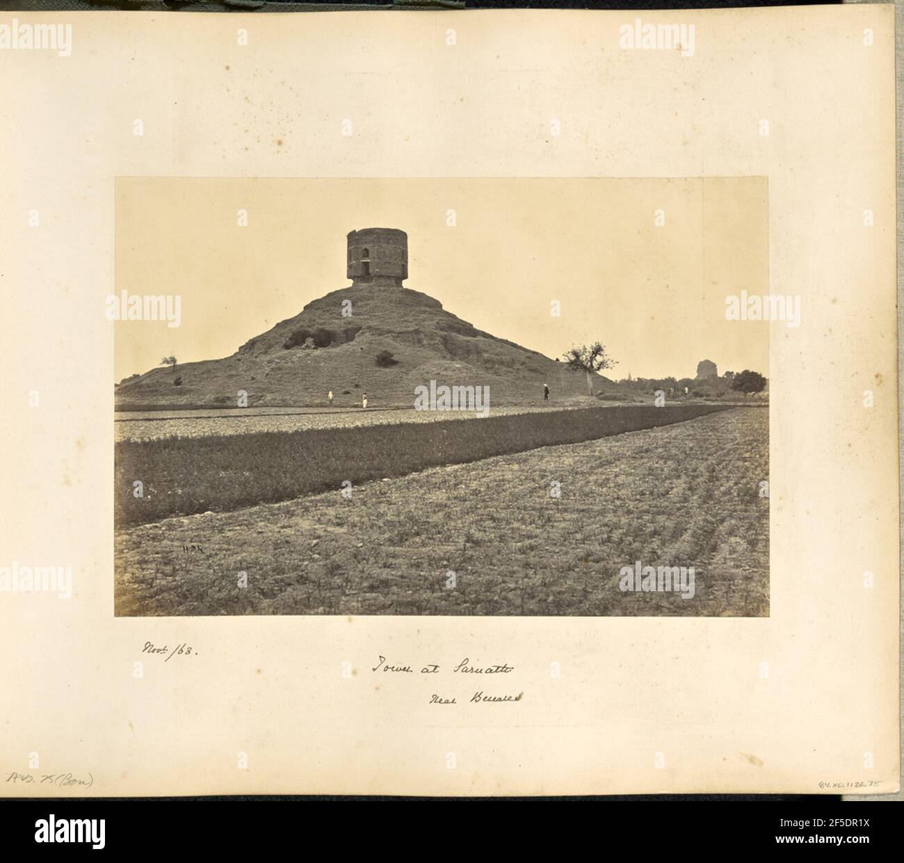 Benares; i resti di un'antica torre di mattoni a Sarnath, esplorata dal generale Cunningham. Vista dello Stupa di Chaukhandi a Sarnath. Alla base del tumulo, sulla cui sommità si trova la struttura ottagonale, si stgono tre figure. (Recto, immagine) in basso a sinistra, manoscritto in negativo: '1184' (recto, mount) in basso a sinistra, manoscritto in inchiostro nero: 'Novr /68' in basso a sinistra, manoscritto in matita: 'A42.75 (Bou)' in basso al centro, scritto a mano in inchiostro nero: 'Tower at Sarnath / near Benares' Foto Stock