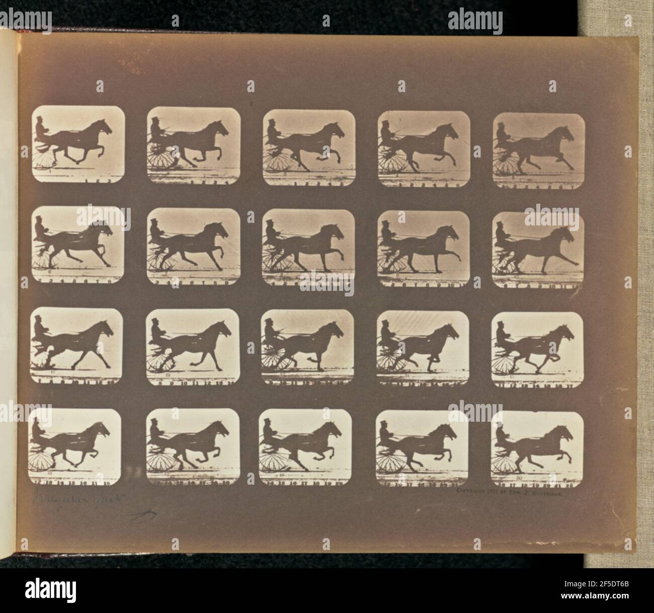 Gait irregolare. Venti telai raffiguranti un suculo trainato da cavalli, un leggero carrello monoposto con due ruote. Un uomo è seduto sul carro, tenendo le redini e una frusta. I fotogrammi sono numerati da uno a venti. (Recto, stampa) in basso a sinistra, a matita, nella mano dell'artista: 'Gait sic irregolare'; (verso, stampa) in alto a sinistra, a matita: '76'; Foto Stock