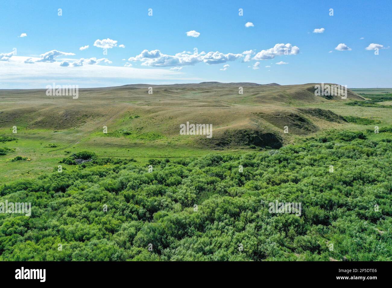 campo verde del kazakhstan con cielo blu e nuvole Foto Stock
