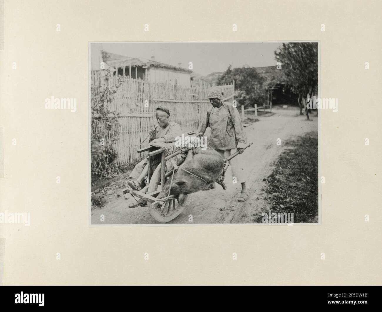 La Shanghai Cab di nuovo. William Saunders (inglese, 1832 - 1892) Foto Stock