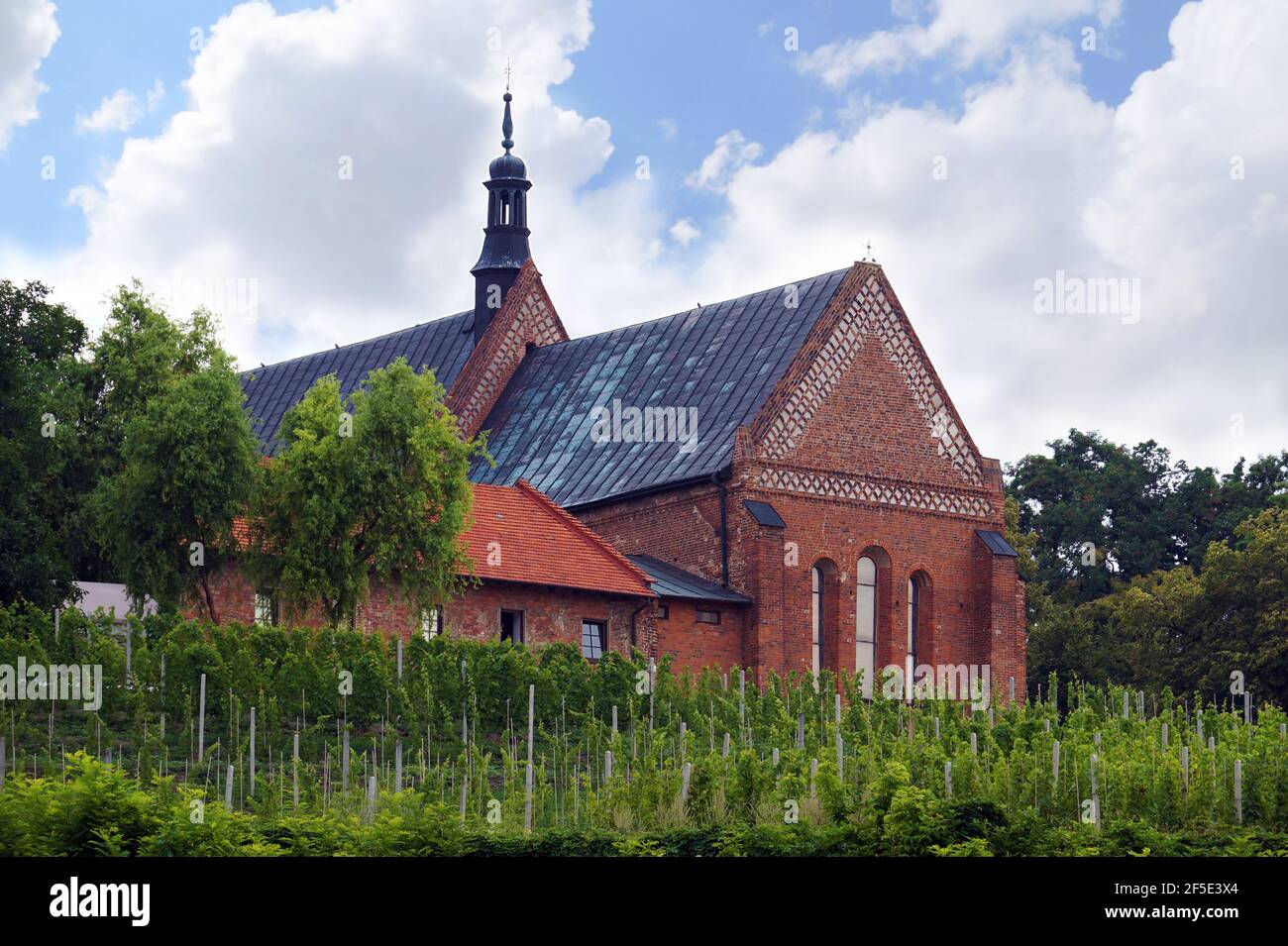 Sandomierz. Polonia. Vigneto che circonda la chiesa dedicata a San Giacomo. Foto Stock