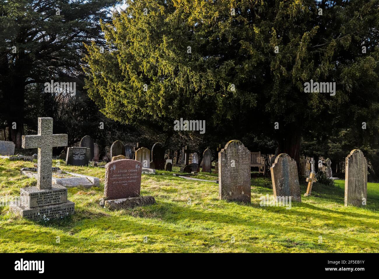 Lapidi e alberi di tasso presso il cimitero Pishill Parish Church nelle Chiltern Hills vicino a Stonor; Pishill, Oxfordshire, Regno Unito Foto Stock