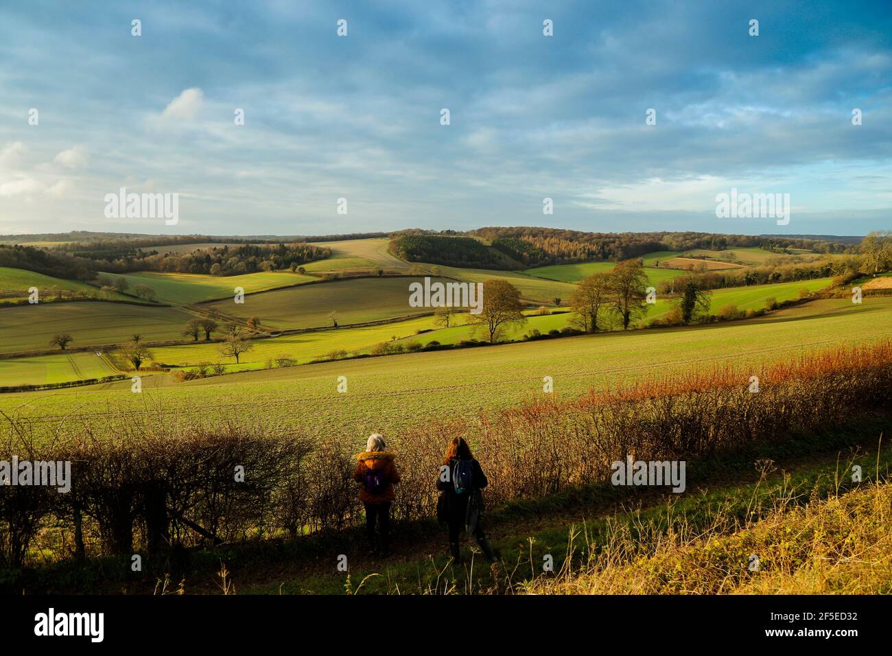 Gli escursionisti osservano il sole che getta lunghe ombre sui campi nella splendida Stonor Valley vicino a Henley-on-Thames; Stonor, Oxfordshire, Regno Unito Foto Stock