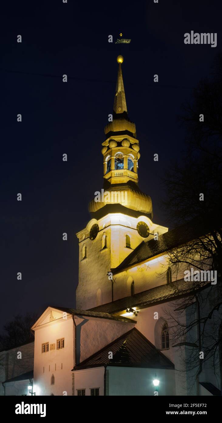 Cattedrale di Santa Maria a Tallinn. Estonia Foto Stock