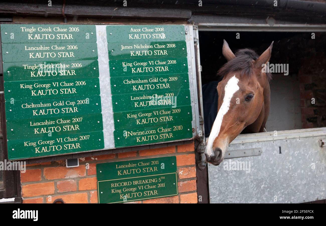 Kauto Star alle scuderie Paul Nicholls a Ditcheat, Somerset. 22 aprile 2012. Foto di Adam Gasson. Foto Stock