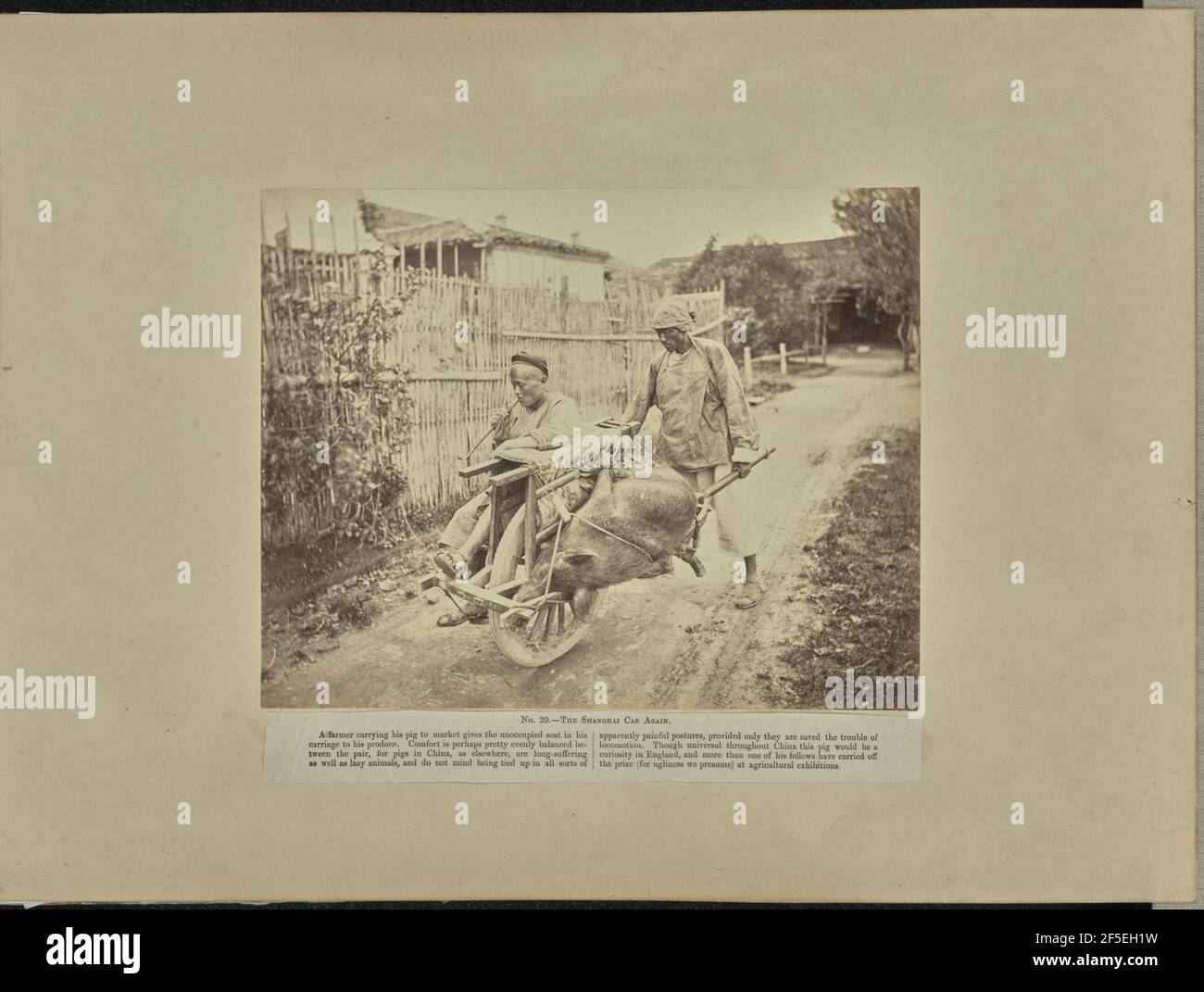 N. 29 - la Shanghai Cab di nuovo.. William Saunders (inglese, 1832 - 1892) Foto Stock