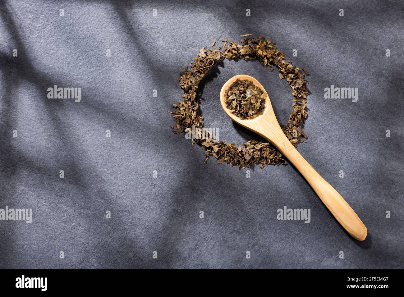 Camellia sinensis - tè a foglia verde essiccato Foto Stock