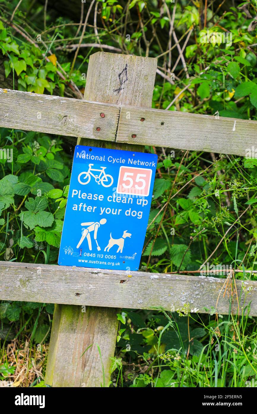 Un segno che dice 'Please cleanup after your dog', sulla rete ciclabile nazionale, route number 55, Gnosall, Staffordshire, Inghilterra, REGNO UNITO Foto Stock