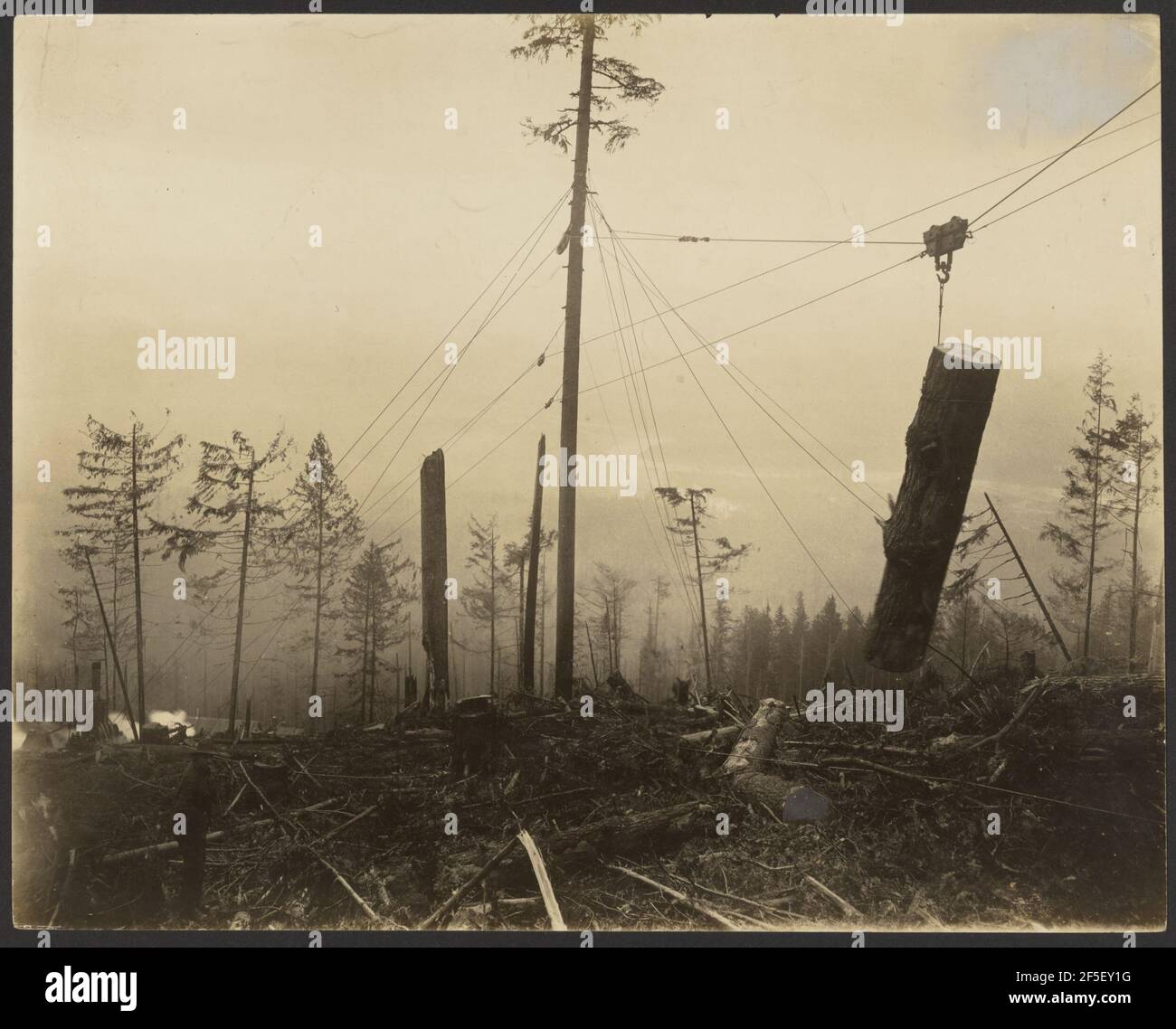 Registrazione/scena del legname. Darius Kinsey (americano, 1869 - 1945) Foto Stock