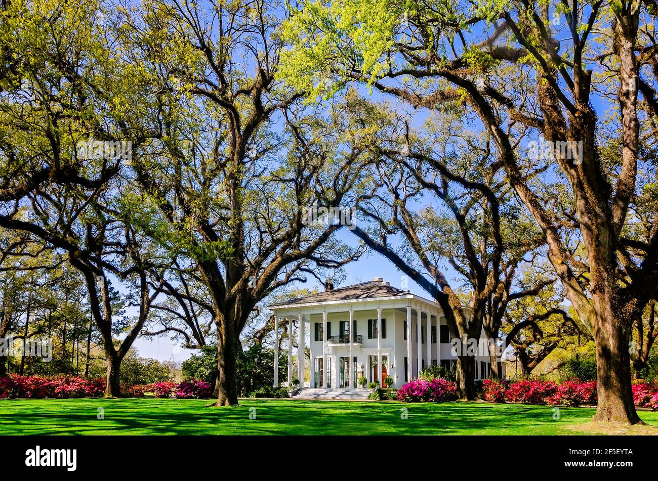 Le azalee fioriscono alla residenza di Bragg-Mitchell, 21 marzo 2021, a Mobile, Alabama. Il palazzo del 1855, risalente al periodo precedente la guerra di secessione greca, è un'attrazione molto apprezzata. Foto Stock