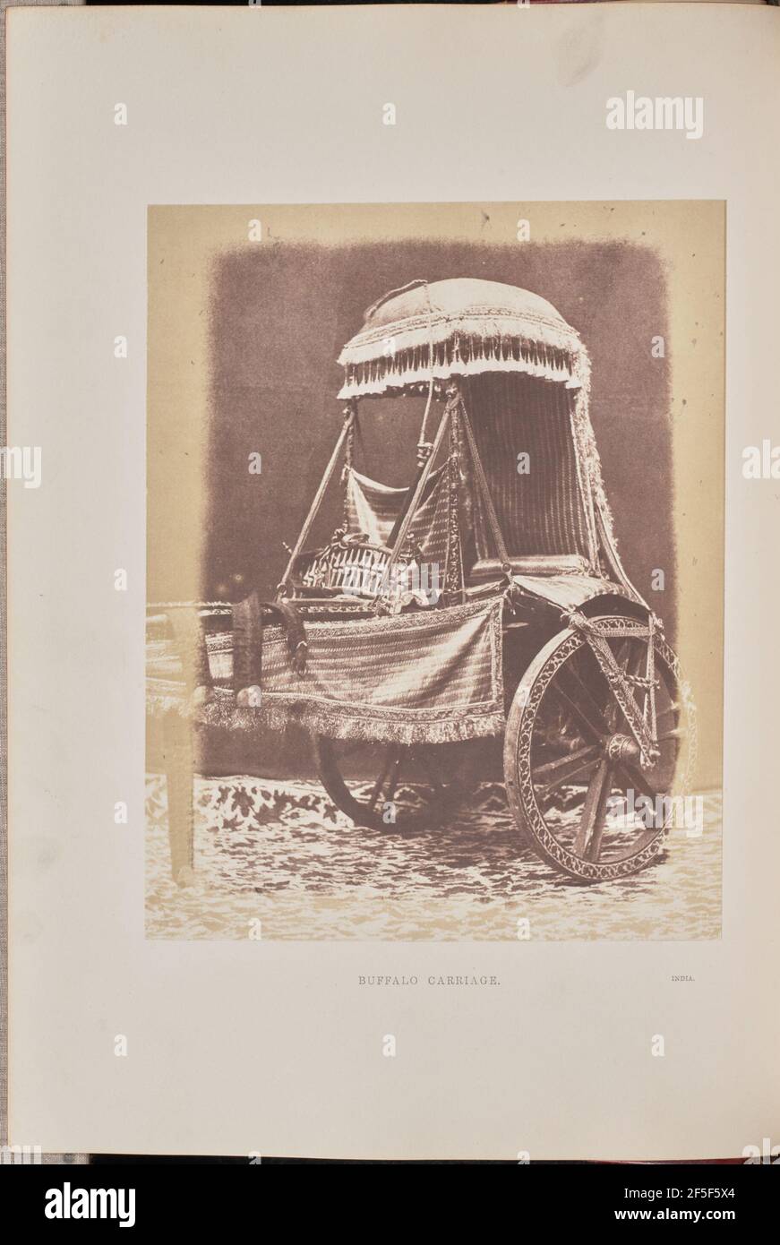 Carrozza di bufalo. Hugh Owen (British, 1808 - 1897) Foto Stock