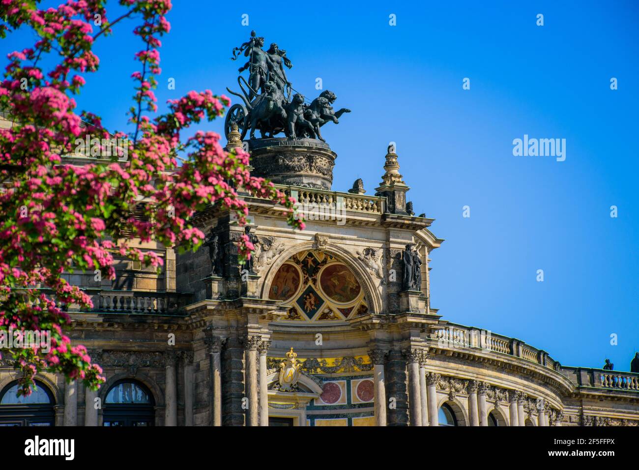 17 maggio 2019 Dresda, Germania - Dresden Semper Opera Theater (Semperoper), vista frontale in primavera. Rami in fiore in primo piano. Foto Stock