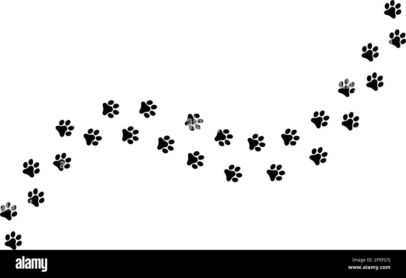 Paw vettore foot Trail stampa di Cat. Cane, silhouette animale diagonale traccia . Illustrazione Vettoriale