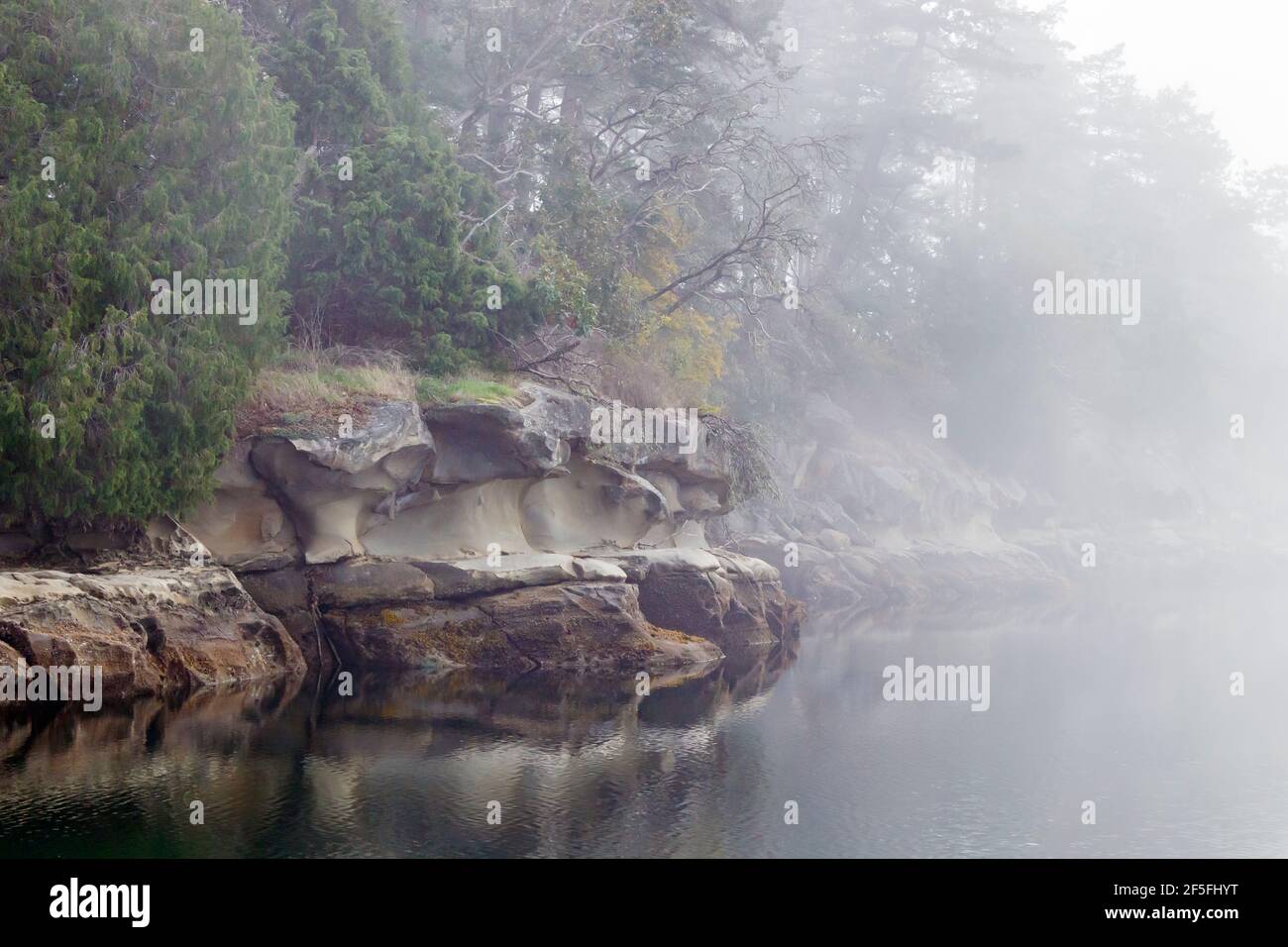 La nebbia copre una costa di arenaria, che offre un'aria di mistero mentre i dettagli della roccia e degli alberi in lontananza sono oscurati (ottobre, British Columbia). Foto Stock