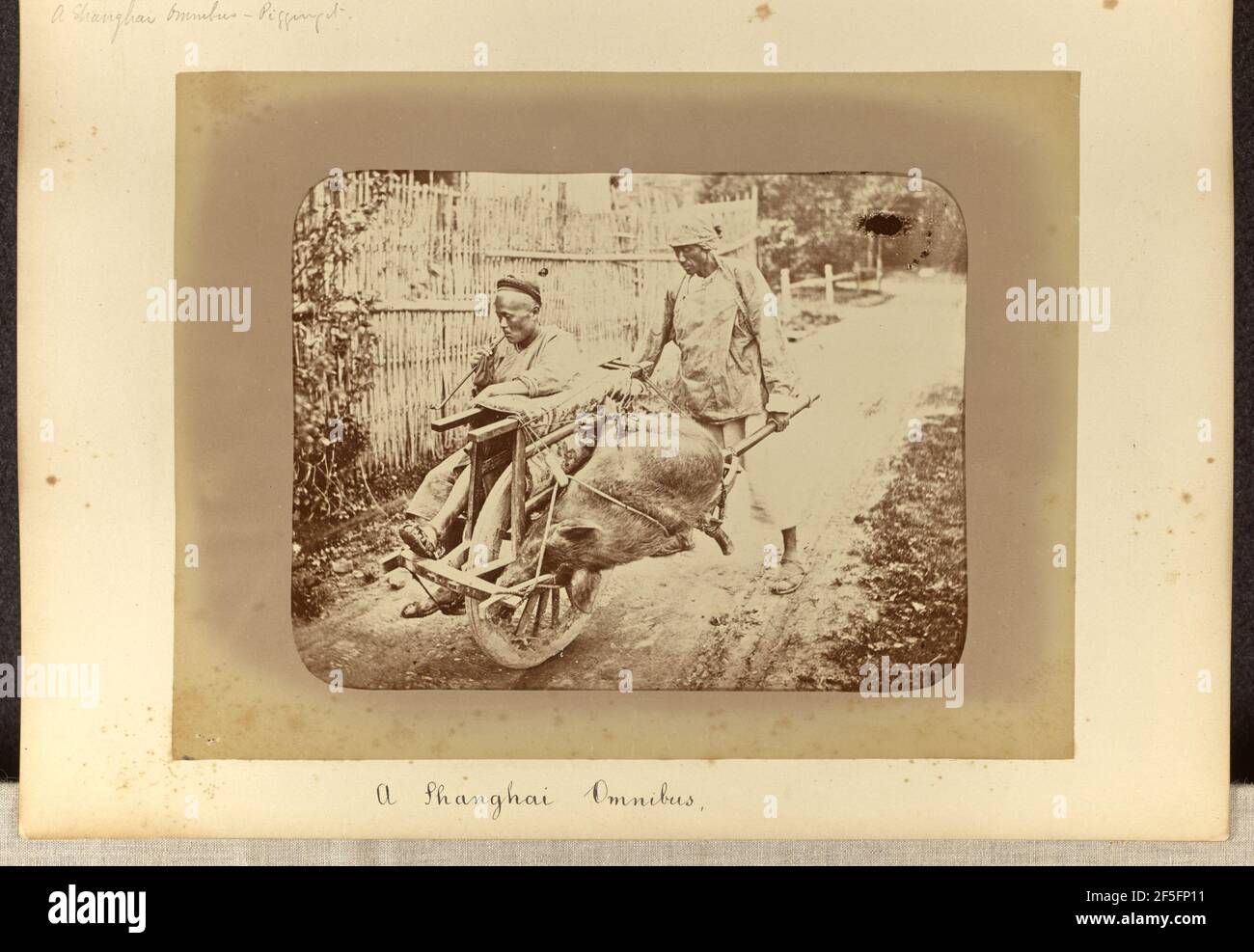 Un Omnibus di Shangai. William Saunders (inglese, 1832 - 1892) Foto Stock