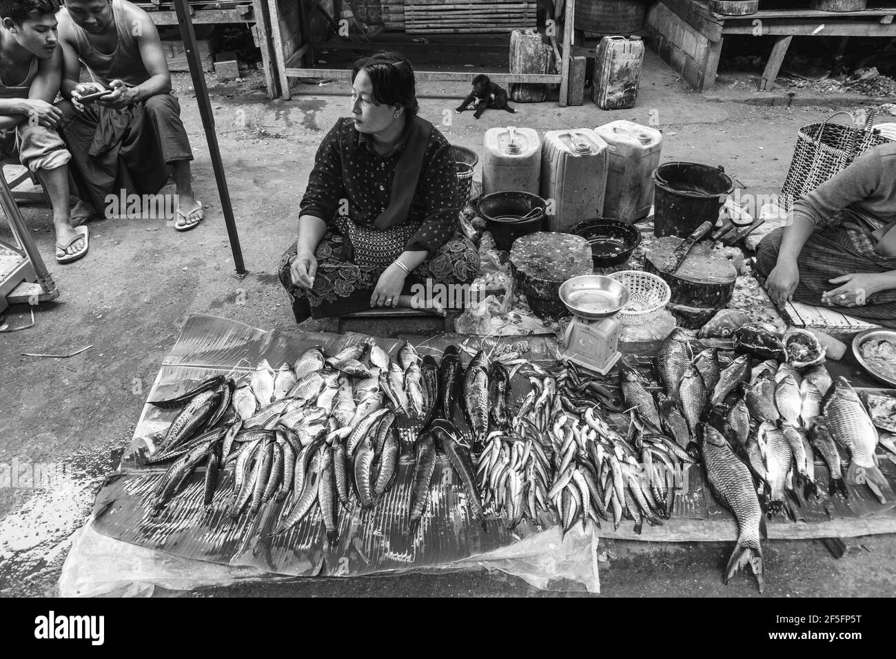 Un locale donna birmano la vendita di pesce fresco nel mercato Mingalar, Nyaung Shwe, Lago Inle, Stato Shan, Myanmar. Foto Stock