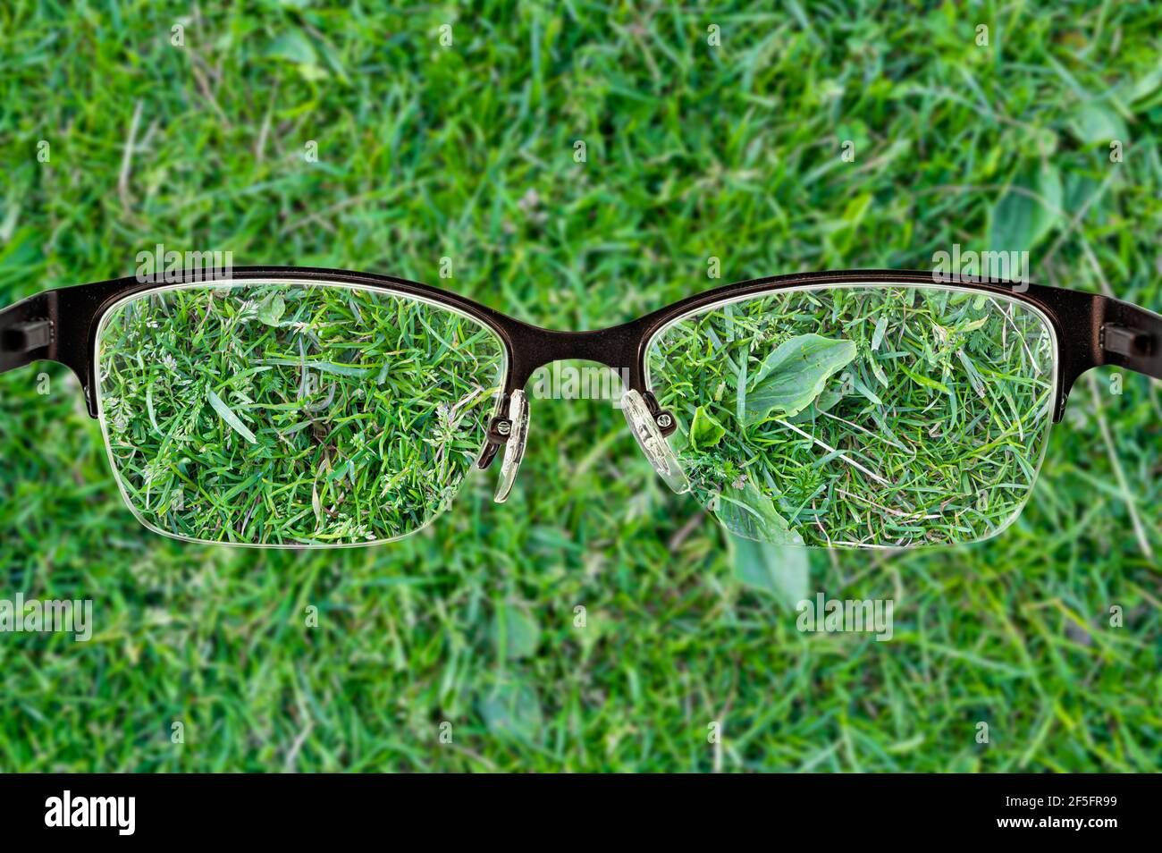 Tessuto verde erba focalizzato nella cornice degli occhiali da donna. Vista attraverso gli occhiali. Concetto di visione migliore. Foto Stock