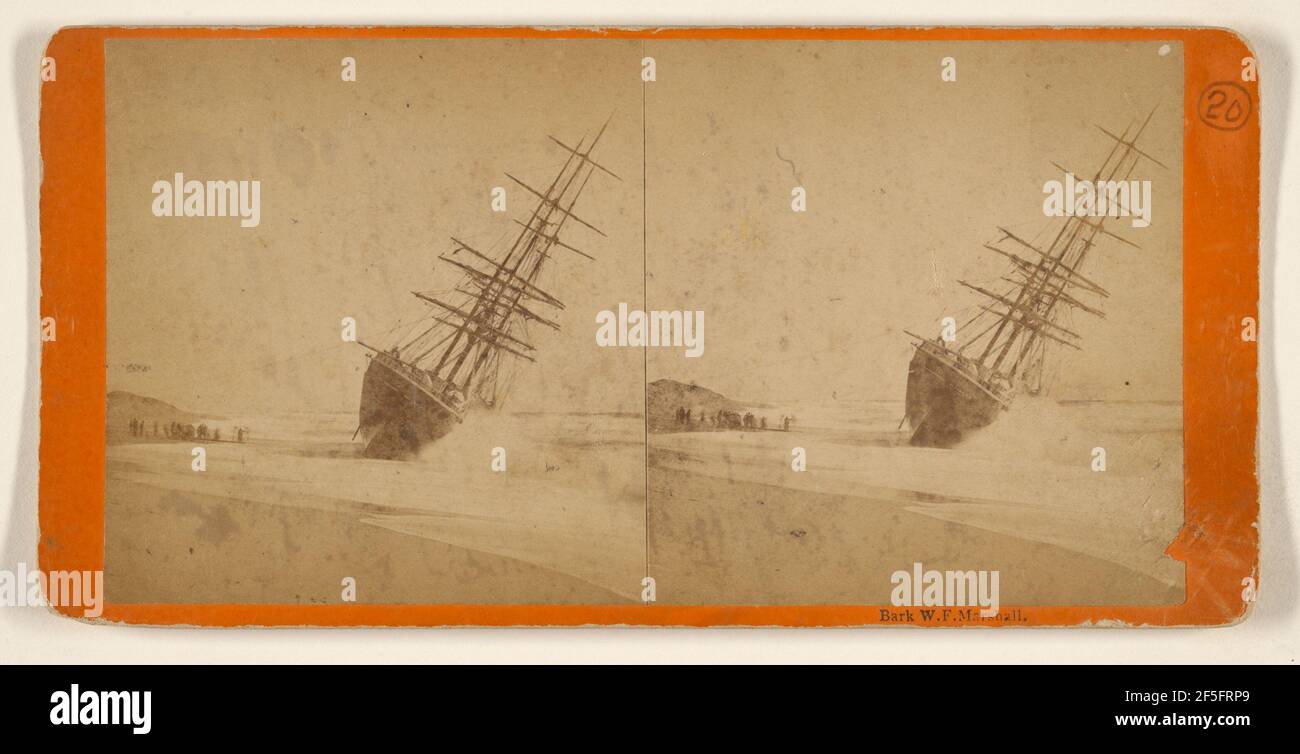 Corteccia, W. Marshall San Giovanni, New Brunswick, Canada. Josiah Freeman (americano, attivo dal 1860 al 1870) Foto Stock