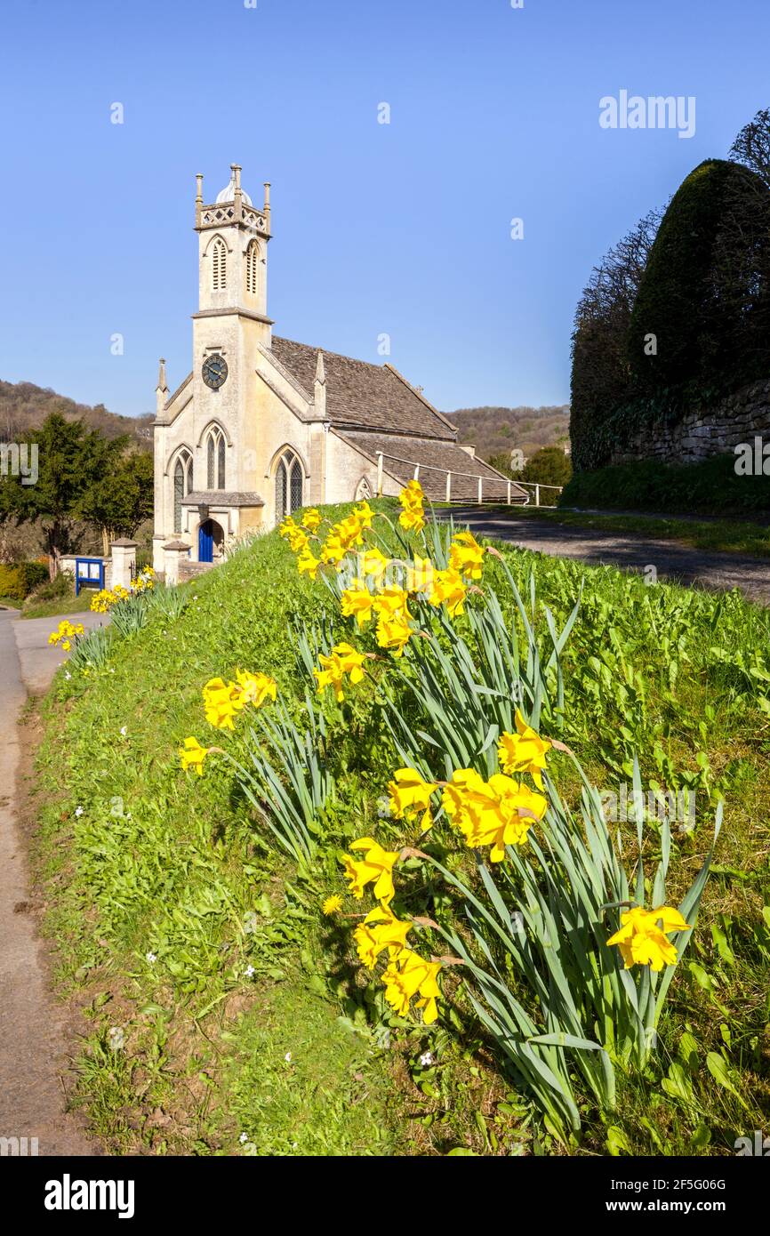 Primavera nel Cotswolds - Daffodils accanto alla chiesa di San Giovanni nel villaggio di Sheepscombe, Gloucestershire UK Foto Stock