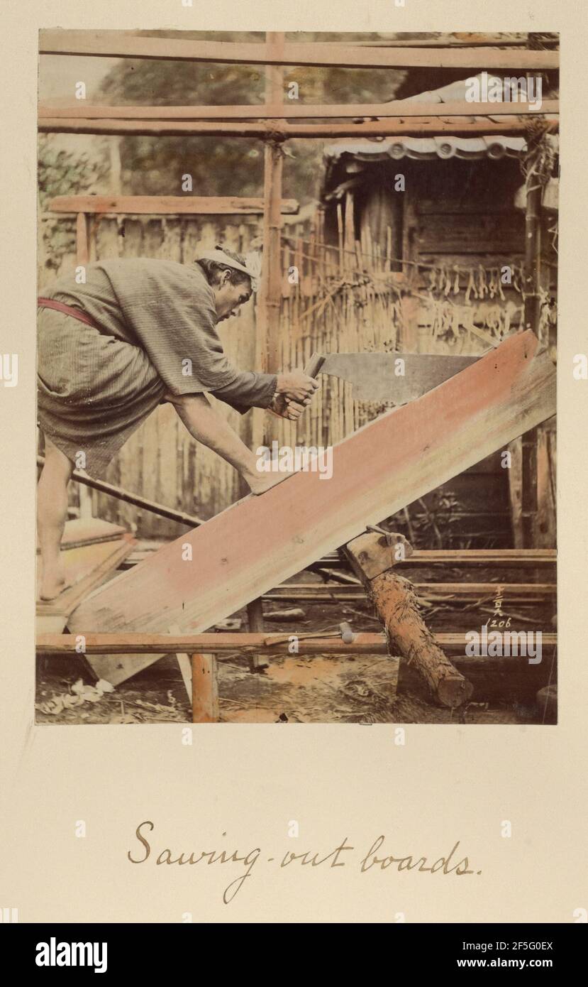 Sezionare le tavole. Shinichi Suzuki (giapponese, 1835 - 1919) Foto Stock