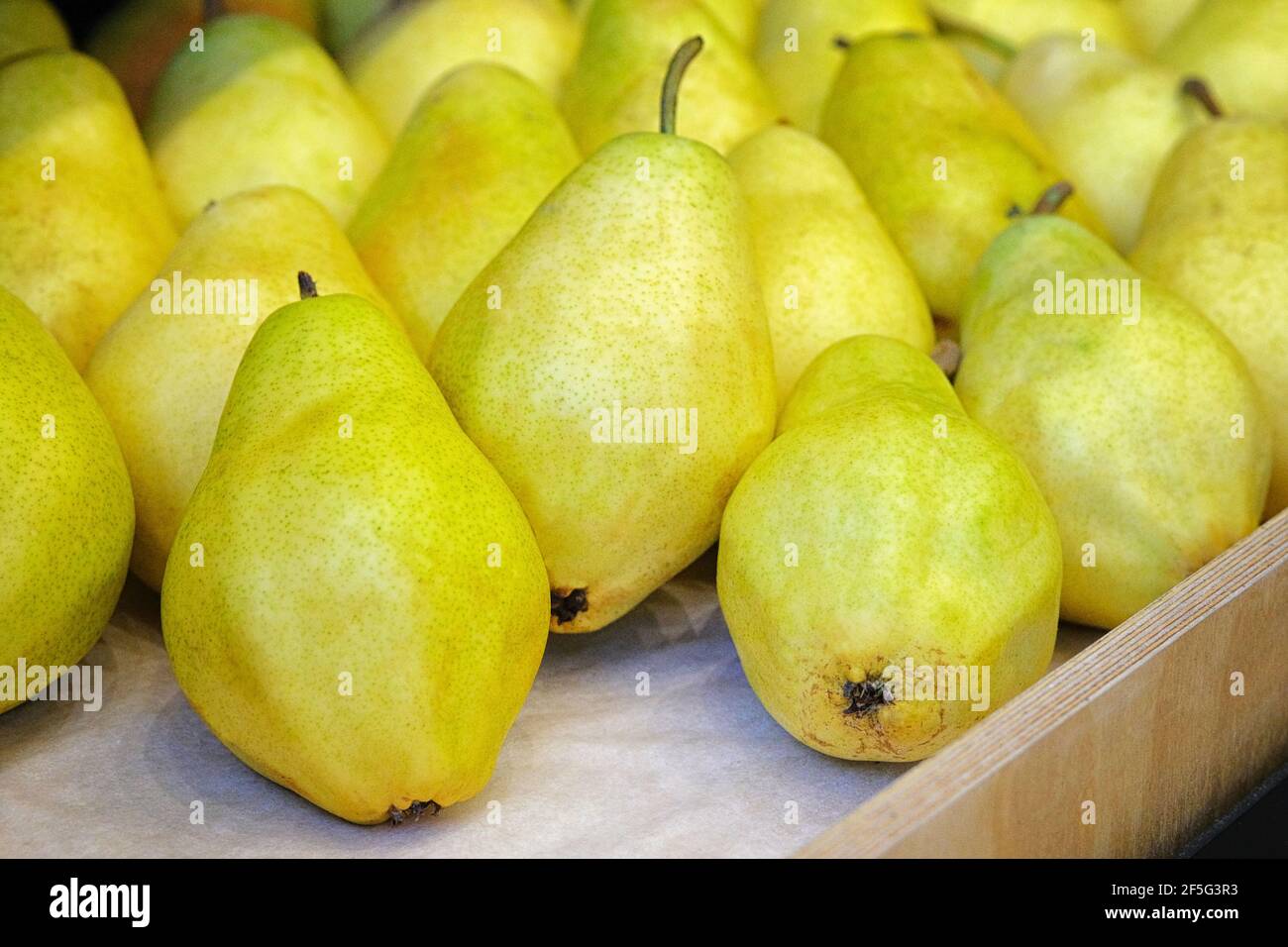 Un sacco di pere fresche e succose mature sono vendute presso il negozio di verdure. Le pere si trovano sullo scaffale nel negozio di alimentari. Foto Stock