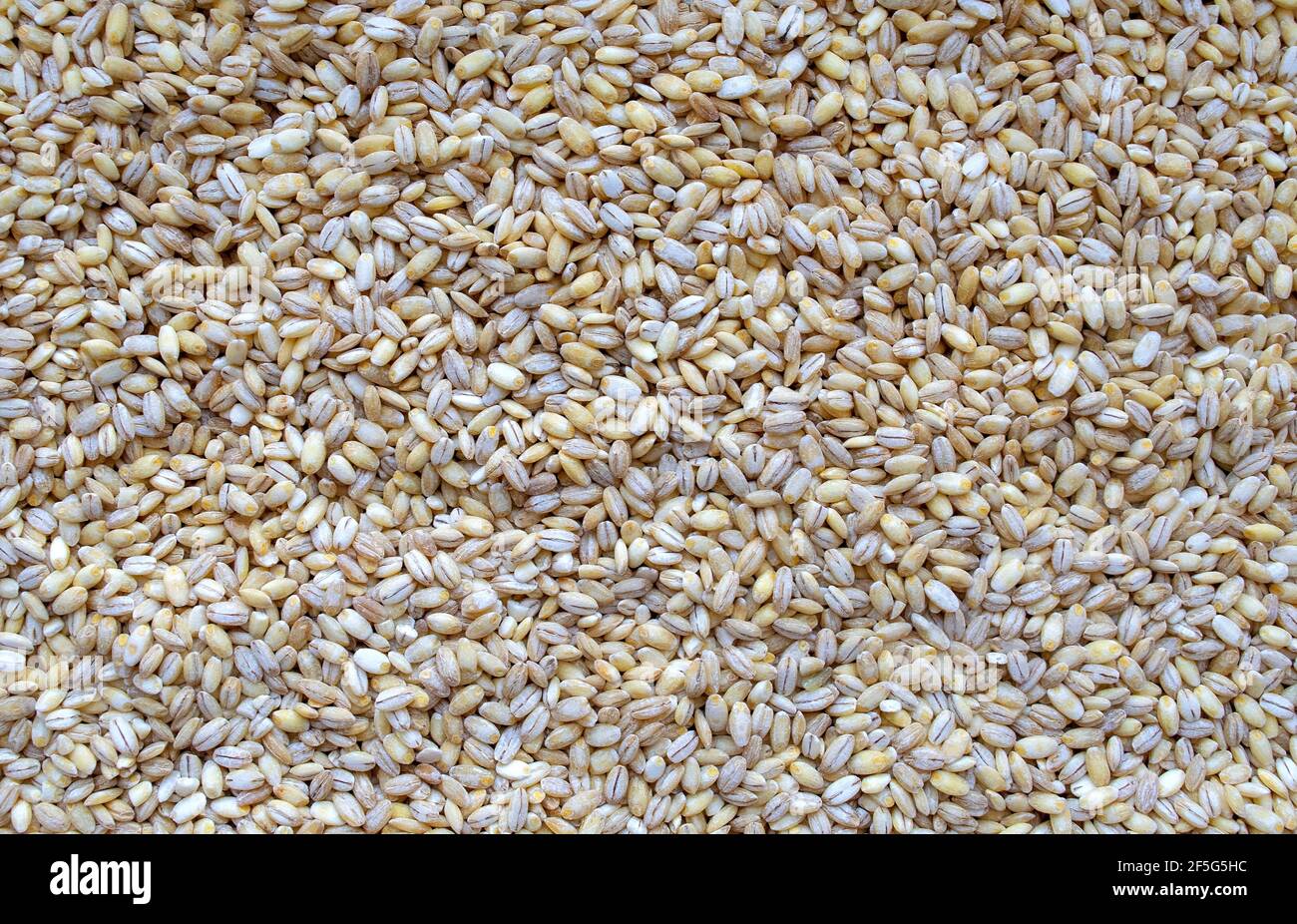 Orzo perlato di fondo. Vista dall'alto. Cibo sfondo. Grani di orzo perlati bianchi Foto Stock