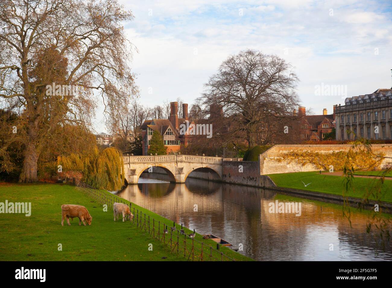 River Cam, Clare Bridge e Clare College, Cambridge, Inghilterra Foto Stock