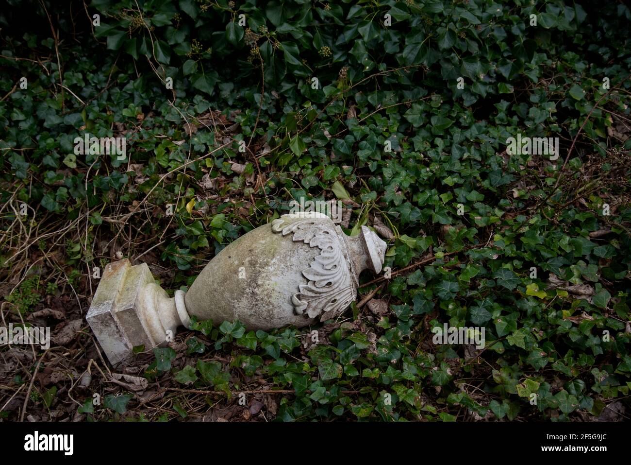 Un'urna di pietra da una tomba che giace sull'edera in un cimitero vittoriano trascurato a Edimburgo, Scozia, Regno Unito. Foto Stock