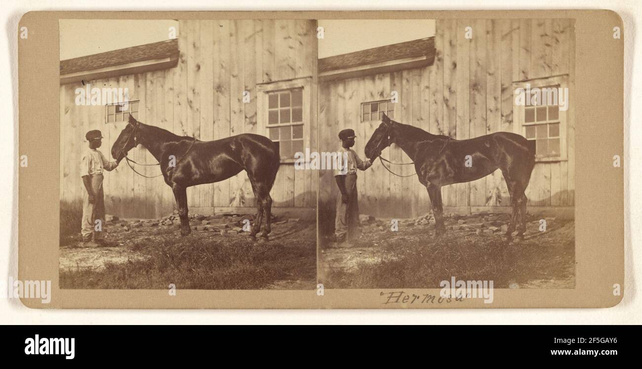 "Hermosa", Woodburn, Kentucky. James Mullen (americano, attivo dal 1860 al 1870) Foto Stock