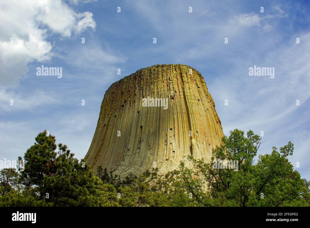 Foto in primo piano del Devils Tower National Monument in Devils STATI UNITI Foto Stock