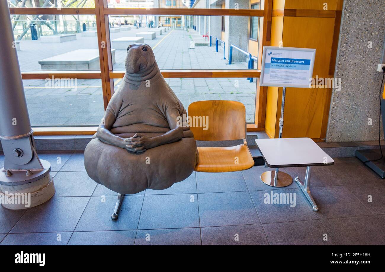 LEIDEN, PAESI BASSI - 27 GIUGNO 2018: Homunculus loxodontus, statua in Leiden Hospital. Popolare meme carattere Zhdun, concetto di attesa. Foto Stock