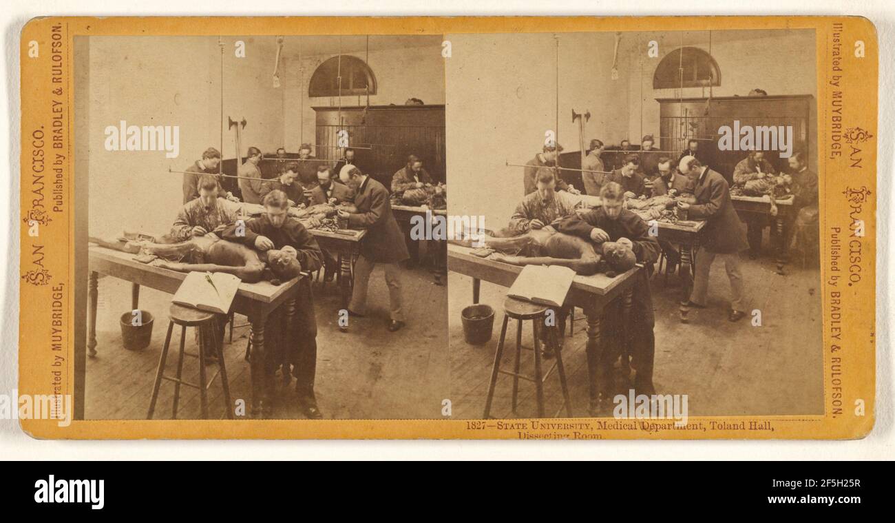 Università di Stato, Dipartimento medico, Toland Hall, Sala di dissezione. Eadweard J. Muybridge (americano, nato Inghilterra, 1830 - 1904) Foto Stock